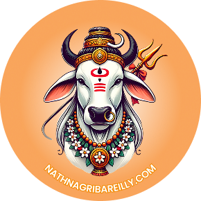Nathnagri Bareilly Logo